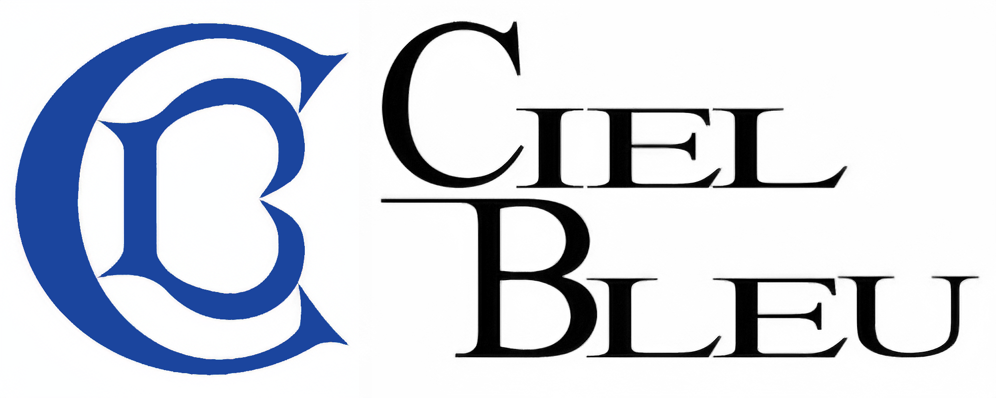 株式会社シエルブルー